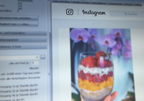 Oberfläche des Instagram-Tools